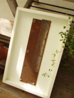 ネイチャーアートフレーム